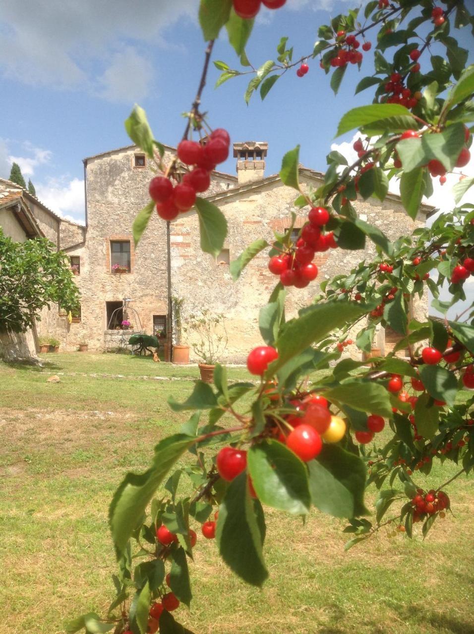 La Canonica Di San Michele Monteriggioni Exteriör bild